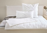 Aktuelles Kopfkissen ca. 40 x 80 cm Angebot bei XXXLutz Möbelhäuser in Aachen ab 39,99 €