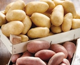 Intermarché Contact Tocane-Saint-Apré - Promo Pommes de terre de consommation à chair ferme Promo Pommes de terre de consommation à chair ferme à 1,69 € dans le catalogue Intermarché Contact à Tocane-Saint-Apré