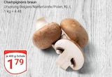Champignons braun Angebote bei GLOBUS Halle für 1,79 €