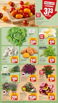Salat im aktuellen REWE Prospekt (Frankfurt (Main)) Salat im REWE Prospekt "Dein Markt" mit 18 Seiten (Frankfurt (Main))