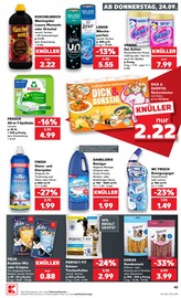 Lenor im Kaufland Prospekt in Schwabach Aktueller Kaufland Prospekt mit Lenor, "Hier bin ich richtig", Seite 55
