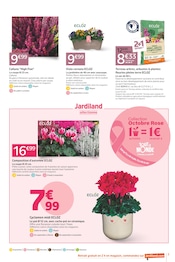 Plante Verte Angebote im Prospekt "J'AIME PLANTER LE DÉCOR" von Jardiland auf Seite 3