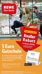REWE Prospekt "Dein Markt" für Bad Münder, 26 Seiten, 15.04.2024 - 20.04.2024