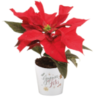 Promo Mini Poinsettia à 1,99 € dans le catalogue Jardiland à Niort