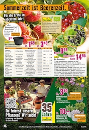Blumenampel Angebot im aktuellen Hornbach Prospekt auf Seite 14