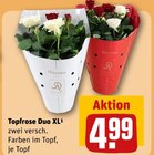 Topfrose Duo XL Angebote bei REWE Oberhausen für 4,99 €