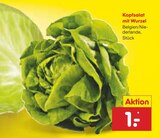 Kopfsalat mit Wurzel im Angebot bei Netto Marken-Discount in Hildesheim Kopfsalat mit Wurzel Angebote bei Netto Marken-Discount Hildesheim für 1,00 €