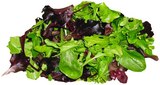 Bio Blattsalat Mix im Angebot bei REWE in Hannover Bio Blattsalat Mix Angebote von REWE BIO bei REWE Hannover für 1,11 €