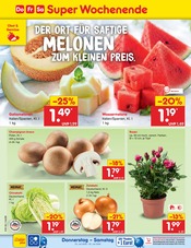 Champignons im Netto Marken-Discount Prospekt in Hamburg Aktueller Netto Marken-Discount Prospekt mit Champignons, "Aktuelle Angebote", Seite 62