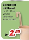 Blumentopf mit Henkel Angebote bei Möbel AS Frankenthal für 2,50 €