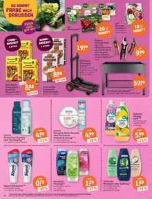 Gartenerde im tegut Prospekt "tegut… gute Lebensmittel" mit 23 Seiten (Mannheim)