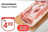 Aktuelles Schweinebauch Angebot bei GLOBUS in Halle (Saale) ab 4,90 €