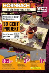 Aktueller Hornbach Prospekt mit Balkonpflanzen, "Willkommen in Deiner Wachstumszone.", Seite 1