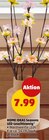 Seasons LED-Leuchtzweig von HOME IDEAS im aktuellen Penny Prospekt für 7,99 €