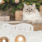 Kratzwelle Xmas bei Das Futterhaus im Hildesheim Prospekt für 5,99 €