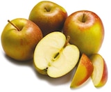 Apfel Boskoop bei Netto mit dem Scottie im Joachimsthal Prospekt für 0,99 €