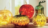 Promo Pomme, citrouille ou butternut décoratif à LED à 14,99 € dans le catalogue Norma à Strasbourg