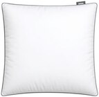 Kopfkissen Angebote bei Penny Albstadt für 15,99 €