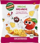 Kindersnack Knusper-Blättchen Apfel, Pflaume & Zimt, ab 1 Jahr Angebote von Freche Freunde bei dm-drogerie markt Peine für 0,75 €