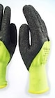 Gartenhandschuhe im Angebot bei Thomas Philipps in Löhne Gartenhandschuhe Angebote von Grüner Jan bei Thomas Philipps Löhne für 1,69 €