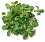 Kaufland Zwickau - Dtsch. Feldsalat Angebot im Prospekt Dtsch. Feldsalat bei Kaufland im Zwickau Prospekt für 0,99 €