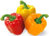 Paprika Mix im Angebot bei REWE in Braunschweig Paprika Mix Angebote von REWE Beste Wahl bei REWE Braunschweig für 2,22 €