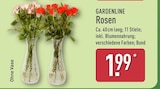 Rosen von GARDENLINE für 1,99 € bei ALDI Nord im Angebot Rosen von GARDENLINE im aktuellen ALDI Nord Prospekt