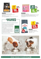 Purina One Angebote im Prospekt "MES ANIMAUX AVANT TOUT" von Gamm vert Purina One Angebote im Prospekt "MES ANIMAUX AVANT TOUT" von Gamm vert auf Seite 4