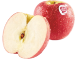 Angebot im Netto Marken-Discount Neustrelitz Prospekt Netto Marken-Discount Neustrelitz Prospekt mit im Angebot für 1,99 €