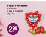 Erdbeeren von San Lucar im aktuellen V-Markt Prospekt für 2,99 €