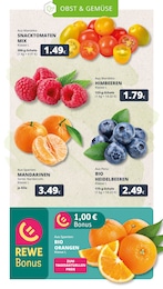 Mixer Angebot im aktuellen REWE Prospekt auf Seite 10