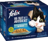 Aktuelle Felix Katzenfutter Angebote bei Globus-Baumarkt in Halle (Saale) Aktuelles Katzenfutter Angebot bei Globus-Baumarkt in Halle (Saale) ab 3,99 €