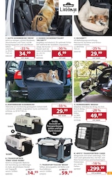 Dehner Garten-Center Hundekissen im Prospekt Dehner Garten-Center Hundekissen im Prospekt