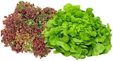 Bunte Salate im Angebot bei REWE in Gelsenkirchen Bunte Salate Angebote von REWE Regional bei REWE Gelsenkirchen für 0,99 €