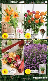Plantes Angebote im Prospekt "50% REMBOURSÉS EN BONS D'ACHAT SUR TOUT LE RAYON CAFÉ" von Intermarché auf Seite 7