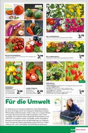 Aktueller BayWa Bau- und Gartenmärkte Prospekt mit Erdbeerpflanzen, "Hier bin ich gern", Seite 19
