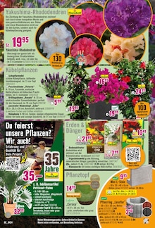 Balkonpflanzen im Hornbach Prospekt "Willkommen in Deiner Wachstumszone." mit 30 Seiten (Würzburg)