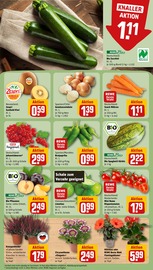 Aktueller REWE Prospekt mit Bio, "Dein Markt", Seite 7
