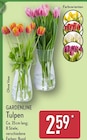 Tulpen Angebote von GARDENLINE bei ALDI Nord Witten für 2,59 €