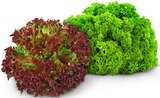 Lollo Bionda Salat im Angebot bei REWE in Chemnitz Lollo Bionda Salat Angebote bei REWE Chemnitz für 0,99 €