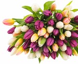 Aktuelles Tulpen „Hot & Fresh“ im Bund Angebot bei Penny in Magdeburg ab 3,99 €
