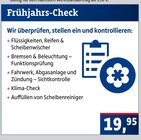 Frühjahrs-Check bei AUTOPLUS im Rinteln Prospekt für 19,95 €