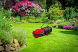 TONDEUSE ELECTRIQUE 1300 W - ELEM GARDEN TECHNIC dans le catalogue Netto