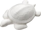 Schildkröte, weiß/glänzend bei dm-drogerie markt im Prospekt  für 2,25 €