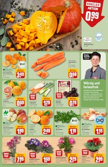 Äpfel im aktuellen REWE Prospekt (Fürth) Äpfel im REWE Prospekt "Dein Markt" mit 38 Seiten (Fürth)