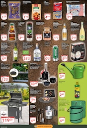 Aktueller GLOBUS Prospekt mit Lichterkette, "Aktuelle Angebote", Seite 22