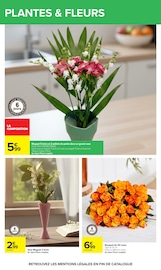 Plantes en promo dans le catalogue Carrefour à la page 58
