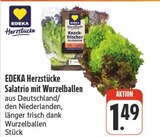 nah und gut Torgau - Salattrio mit Wurzelballen Angebot im Prospekt Salattrio mit Wurzelballen bei nah und gut im Torgau Prospekt für 1,49 €