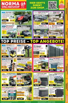 Teppich im Norma Prospekt "Mehr fürs Geld" mit 21 Seiten (München)