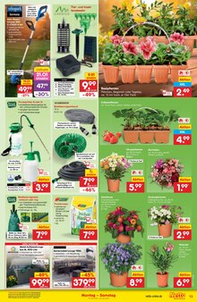 Pflanzen im aktuellen Netto Marken-Discount Prospekt (Jena) Pflanzen im Netto Marken-Discount Prospekt "Aktuelle Angebote" mit 51 Seiten (Jena)